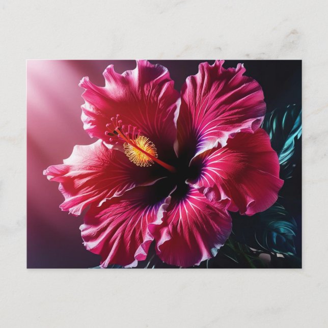 Carte Postale Hibiscus radieux en fleurs (Devant)