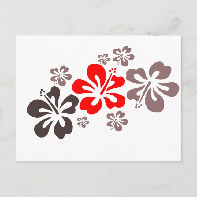 Carte Postale Hibiscus rouge et gris (Devant)