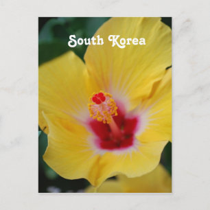 Carte Postale Hibiscus sud-coréen