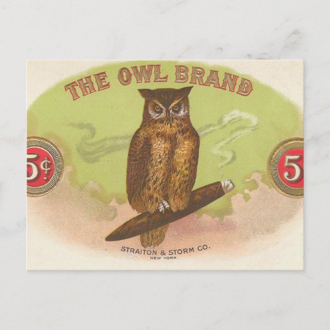 Carte Postale Hibou (Devant)