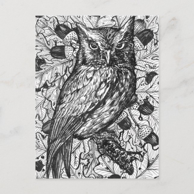 Carte Postale Hibou (Devant)