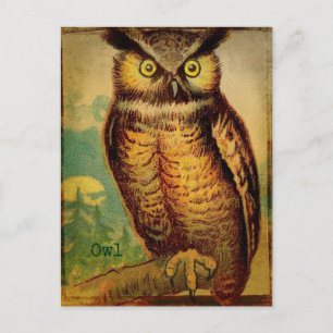 Carte Postale Hibou