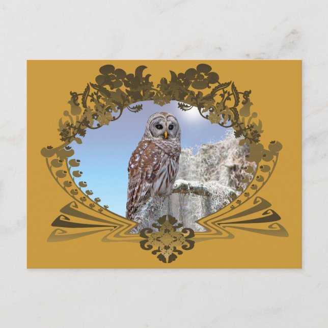 Carte Postale Hibou (Devant)