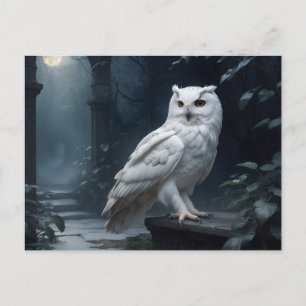 Carte Postale hibou blanc dans la nuit