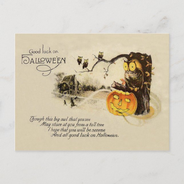 Carte Postale Hibou Jack O'Lantern Arbre Citrouille (Devant)