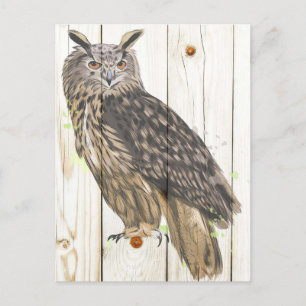 Carte Postale Hibou majestueux sur des planches de bois délavé