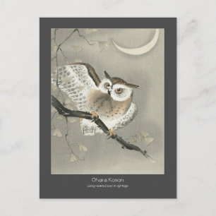 Carte Postale Hibou moyen-duc dans un ginkgo - Charbon de bois -