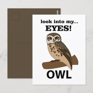Carte Postale Hibou Regarde Dans Mes Yeux Hibou