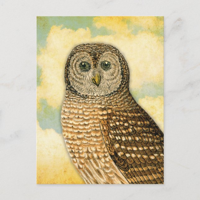 Carte Postale Hibou vintage avec nuages (Devant)