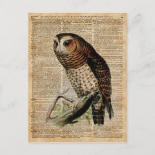 Carte Postale Hibou Vintage Illustration Zoologie Dictionnaire