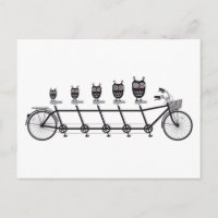 hiboux mignons sur un vélo tandem