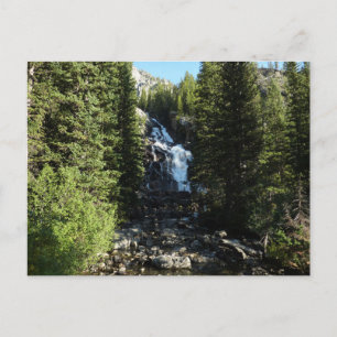 Carte Postale Hidden Falls dans le parc national du Grand Teton