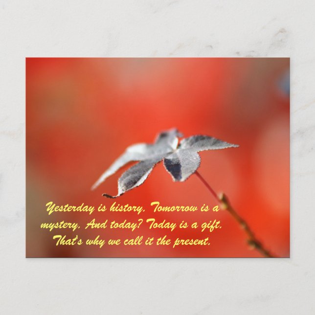 Carte Postale Hier est l'histoire. Demain est un mystère. Et a (Devant)