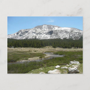 Carte Postale High Country Mountain Stream I