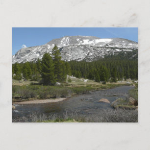 Carte Postale High Country Mountain Stream II à Yosemite