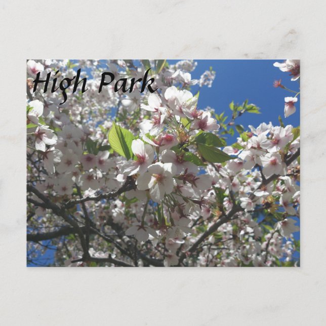 Carte Postale High Park (Devant)
