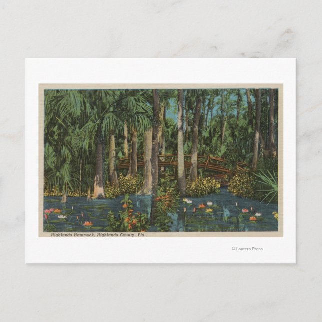 Carte Postale Highlands County, FL - Vue sur Highlands Hammock (Devant)
