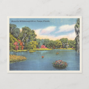 Carte Postale Hillsborough River Tampa Floride Scène Vintage