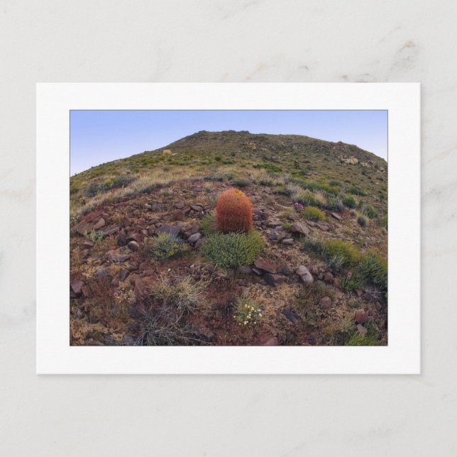 Carte Postale " Hillside Silo " (Devant)