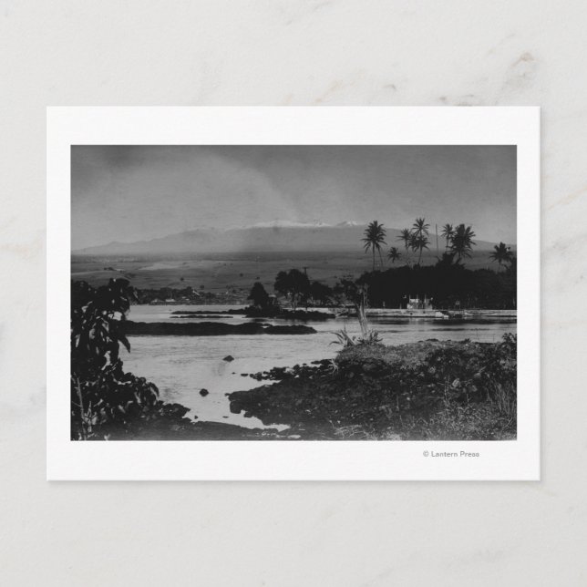 Carte Postale Hilo, Hawaii - View of the City Photograph (Devant)