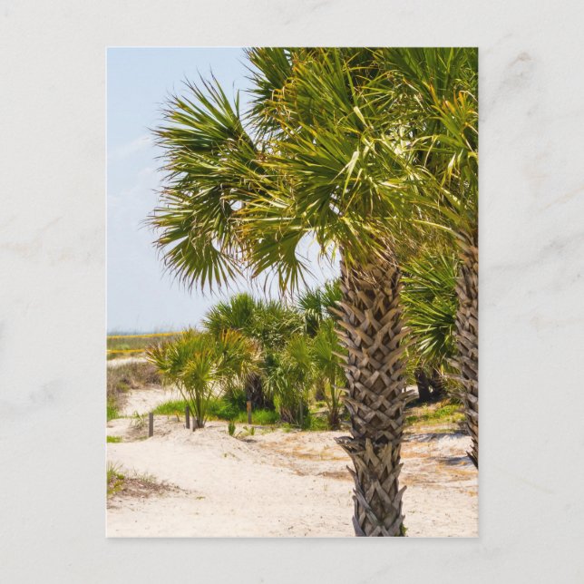 Carte Postale hilton head georgia beach and ocean "south beach" (Devant)