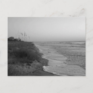 Carte Postale Hilton Head Island Rivage/ Noir Et Blanc