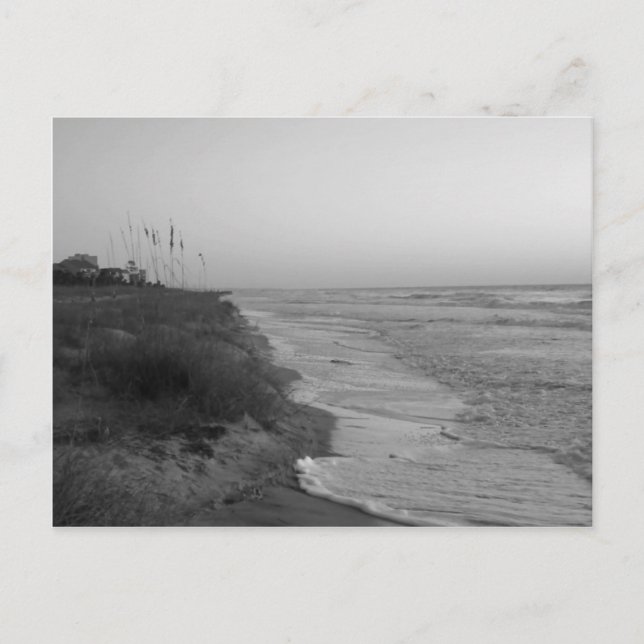 Carte Postale Hilton Head Island Rivage/ Noir Et Blanc (Devant)