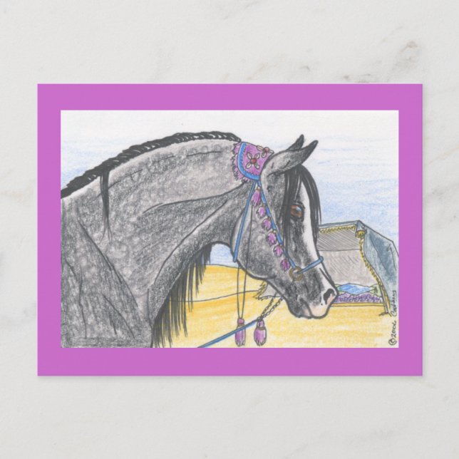 Carte Postale "Hilw bint Umm Ard" (Devant)