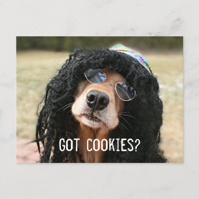 Carte Postale Hippie Golden Retriever "Avez-vous des cookies ?" (Devant)