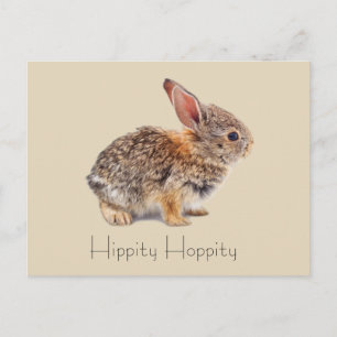 Carte Postale Hippity Hoppity Cottontail Rabbit