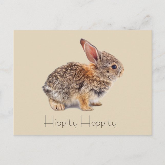 Carte Postale Hippity Hoppity Cottontail Rabbit (Devant)