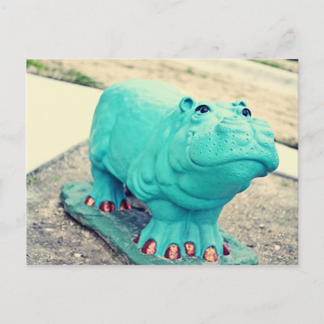 Carte Postale Hippo (Devant)