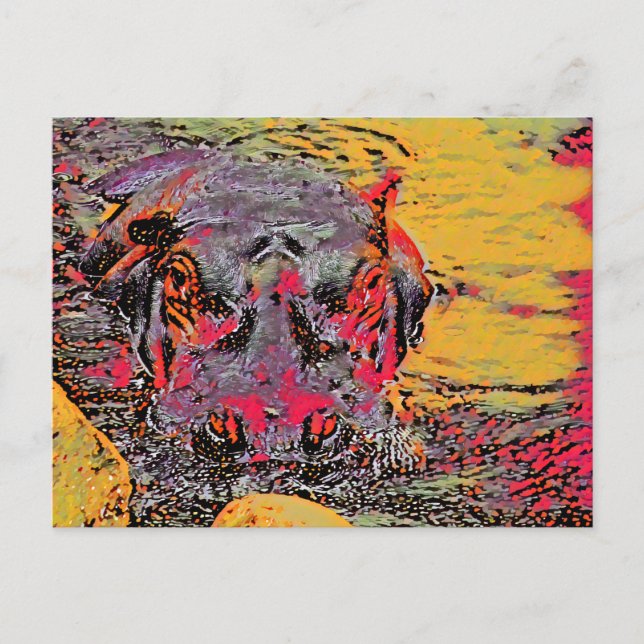 Carte postale Hippo (Devant)