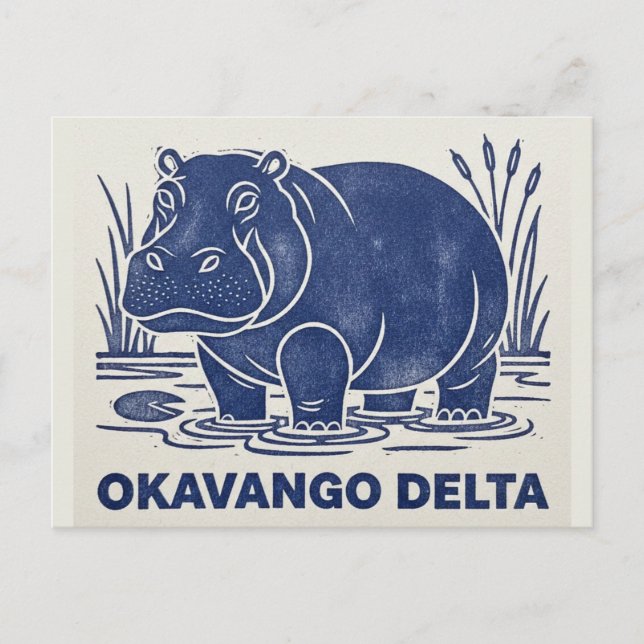 Carte Postale Hippo in Okavango Delta Botswana (Devant)