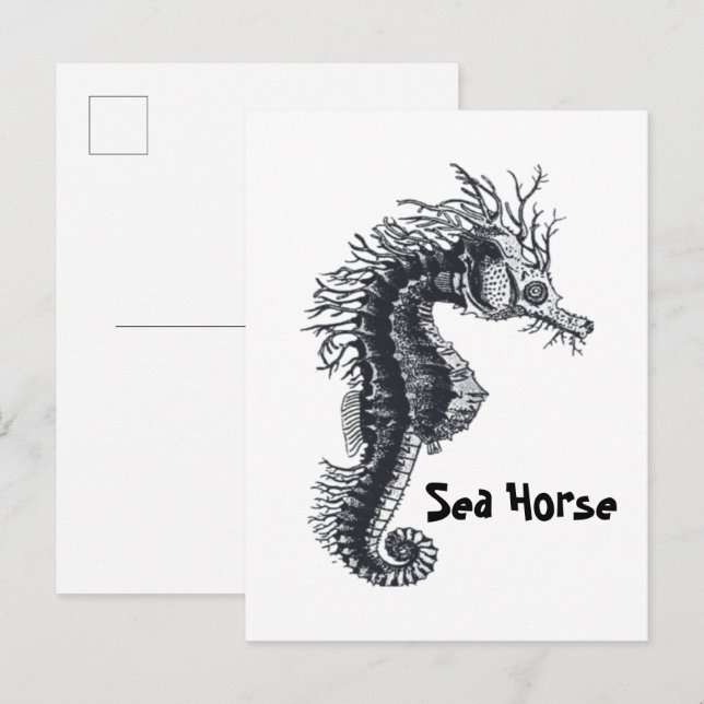 CARTE POSTALE HIPPOCAMPE (Devant / Derrière)