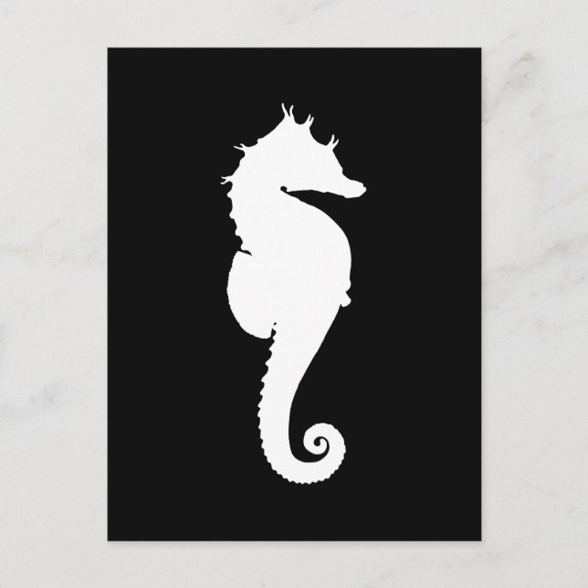 Carte Postale Hippocampe noir et blanc (Devant)