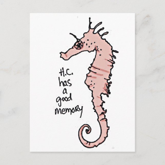 Carte Postale Hippocampus (Devant)
