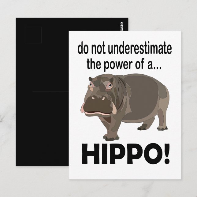 Carte Postale Hippopotame Animal Drôle Hippo  (Devant / Derrière)