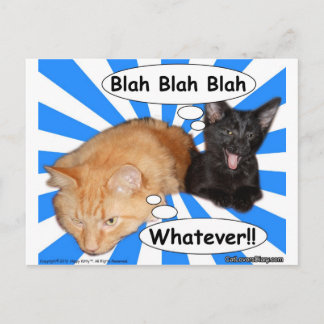 Carte Postale Hippy Kitty Blah Blah Blah Quoiqu'il en soit ! !