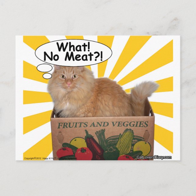 Carte Postale Hippy Kitty Quoi ! Pas de viande ? ! (Devant)