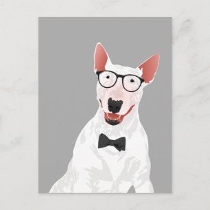 Carte postale Hipster English Bull Terrier Dog