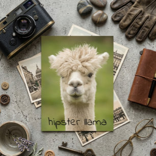 Carte Postale Hipster Lama Coiffure Amusante