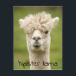 Carte Postale Hipster Lama drôle Hairdo<br><div class="desc">Cette conception a été créée par art numérique. Elle peut être personnalisée en cliquant sur le bouton personnaliser et en modifiant la couleur, en ajoutant un nom, des initiales ou vos mots préférés. Contactez-moi à l'adresse colorflowcreations@gmail.com si vous souhaitez que ce design soit disponible sur un autre produit. Achetez ma...</div>