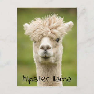 Carte Postale Hipster Lama drôle Hairdo