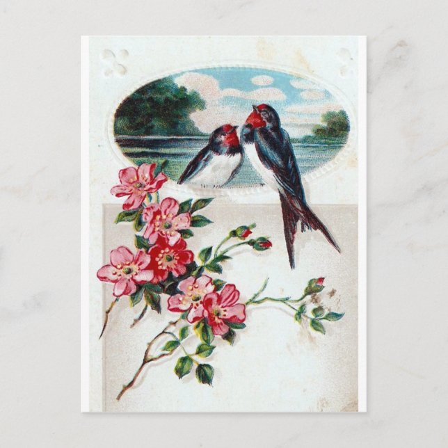 Carte Postale Hirondelles granges et fleurs roses (Devant)