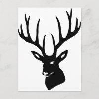 Hirsch Geweih Hirschgeweih Wild Elch Reh Stag Deer