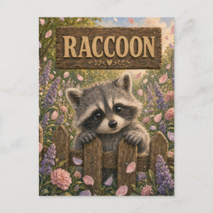 Carte Postale Histoire de bébé raton laveur mignon livre de nurs