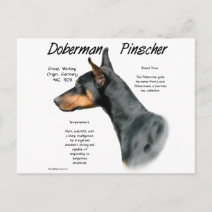 Carte Postale Histoire de Doberman Pinscher noir