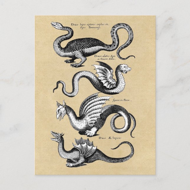 Carte Postale Histoire de Dragons Sepia (Devant)