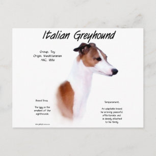 Carte Postale Histoire de Lévriers Italiens Design